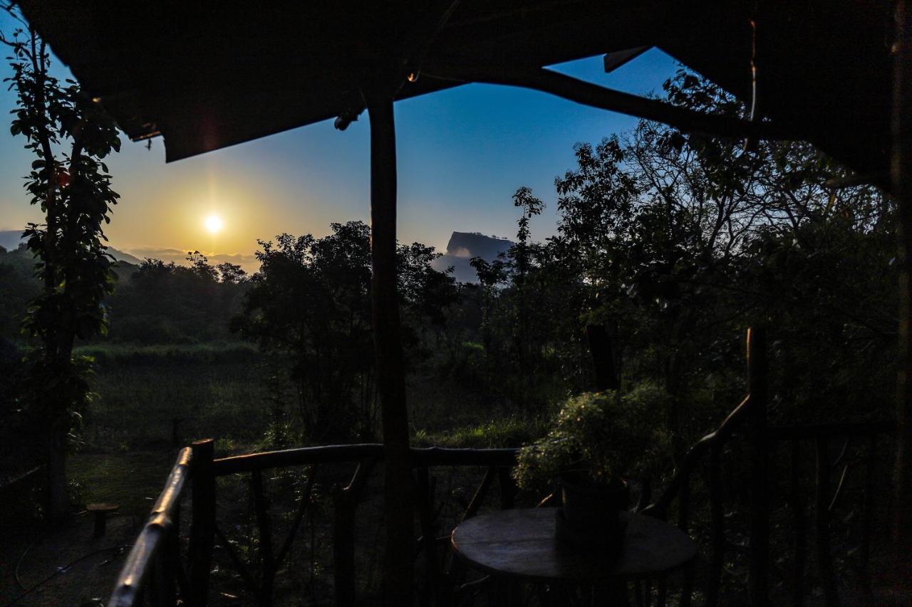 Sigiriya Rock Gate Tree House Hotel Екстериор снимка
