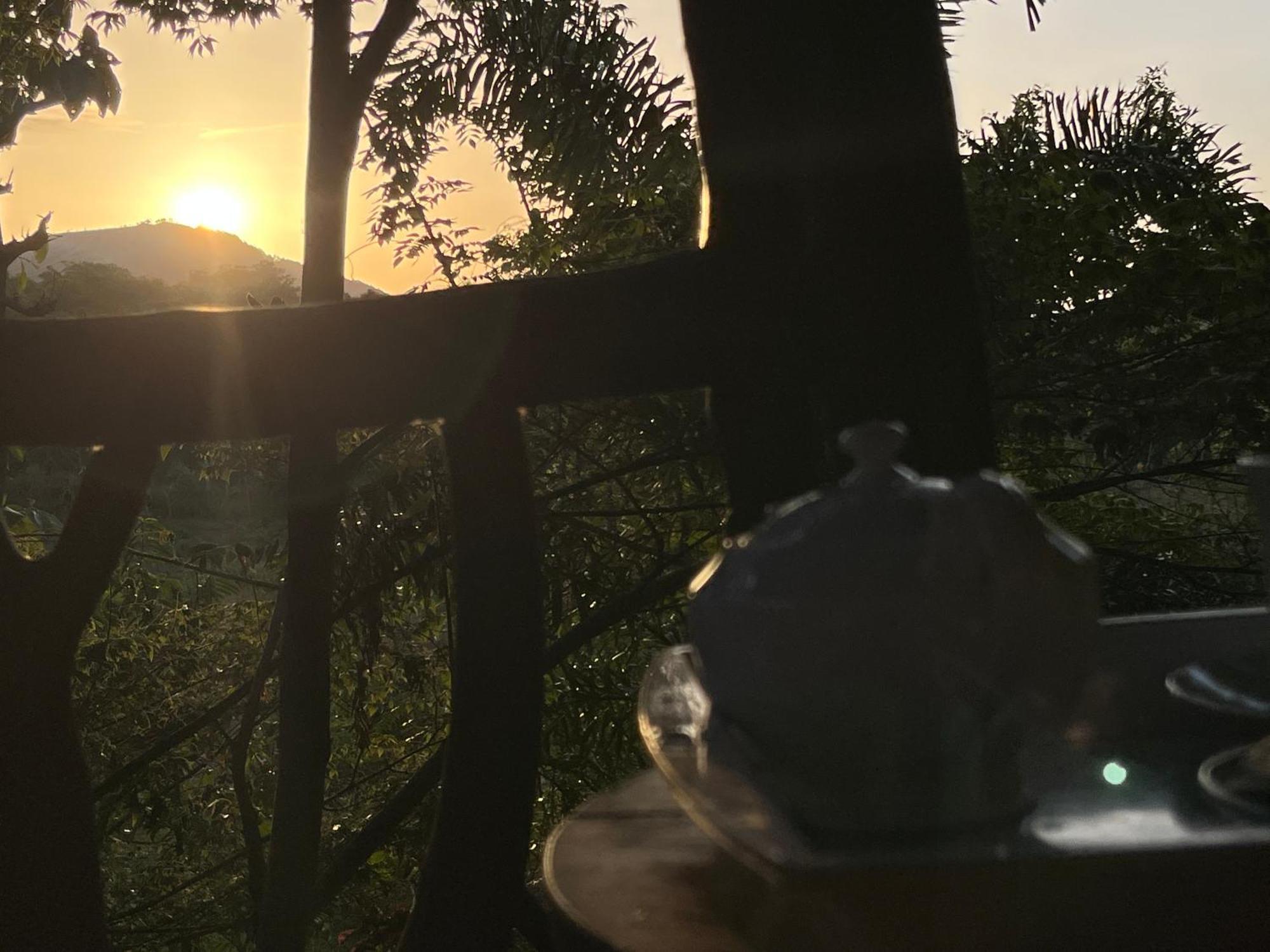 Sigiriya Rock Gate Tree House Hotel Екстериор снимка
