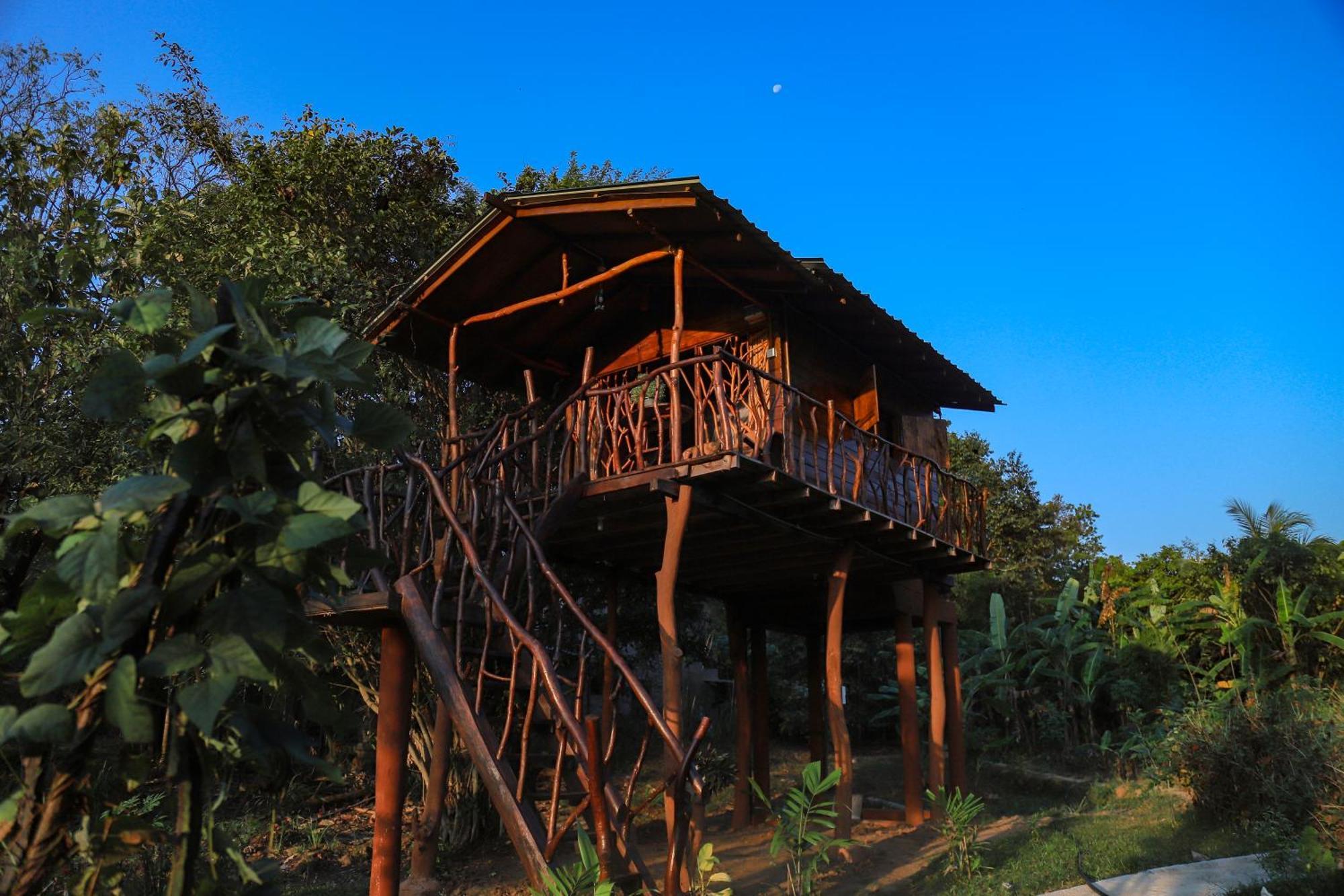 Sigiriya Rock Gate Tree House Hotel Екстериор снимка