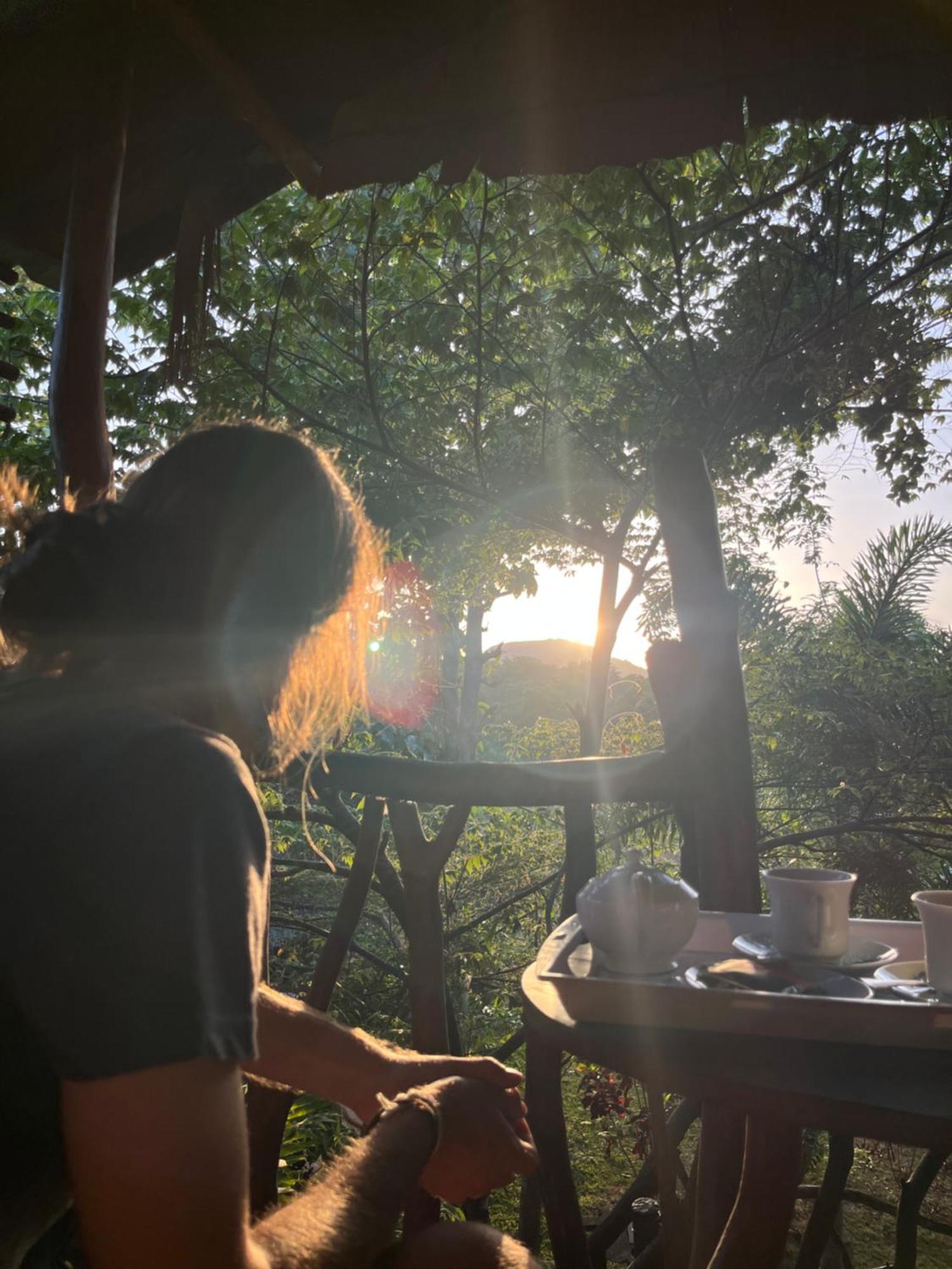 Sigiriya Rock Gate Tree House Hotel Стая снимка